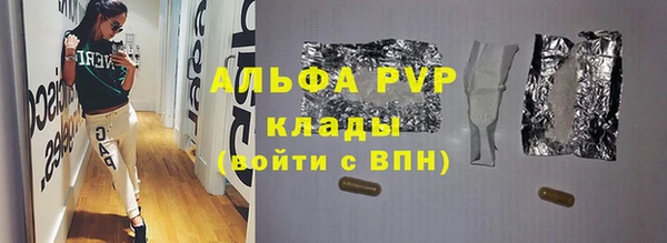 гашик Алексин