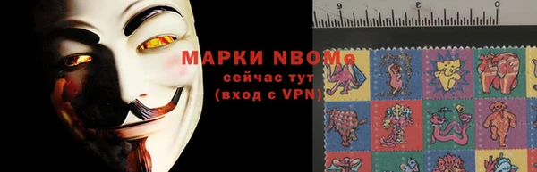 гашик Алексин