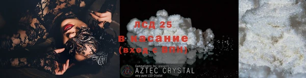 гашик Алексин