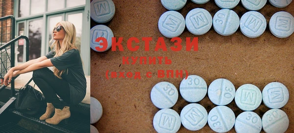 гашик Алексин