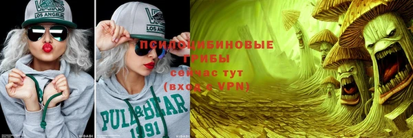 стаф Алзамай
