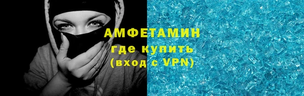 стаф Алзамай