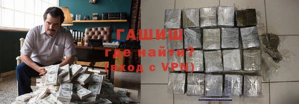 гашик Алексин