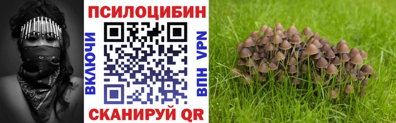 Галлюциногенные грибы мицелий  Кемерово 